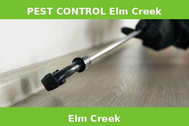 PEST CONTROL Elm Creek